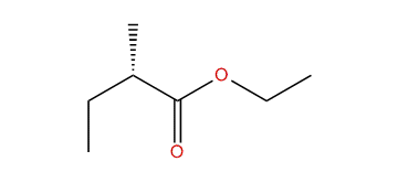 (S)-Ethyl 2-methylbutanoate